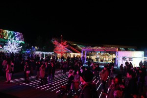 IMG_7431