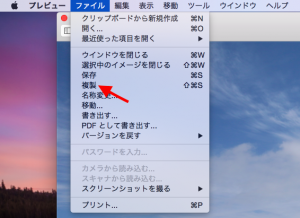 画像の複製