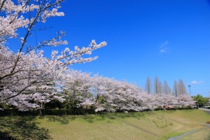 IMG_1716_small