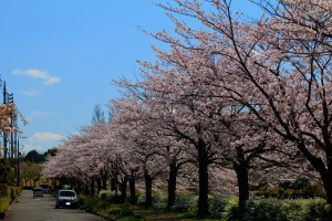 IMG_1760_2