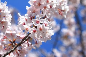 IMG_1765