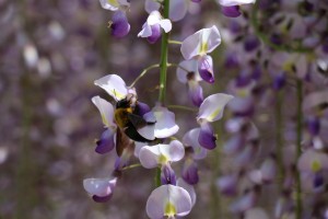 IMG_2805