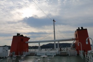 IMG_5537