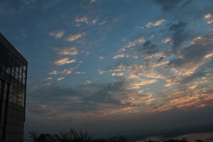 IMG_5647