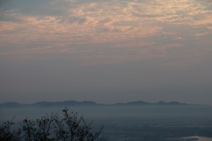 IMG_5678