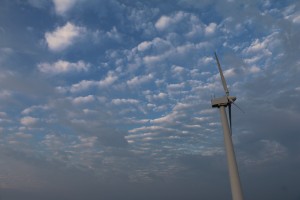 IMG_5690